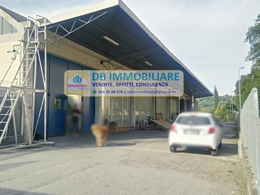 immagine annuncio 4 di 5