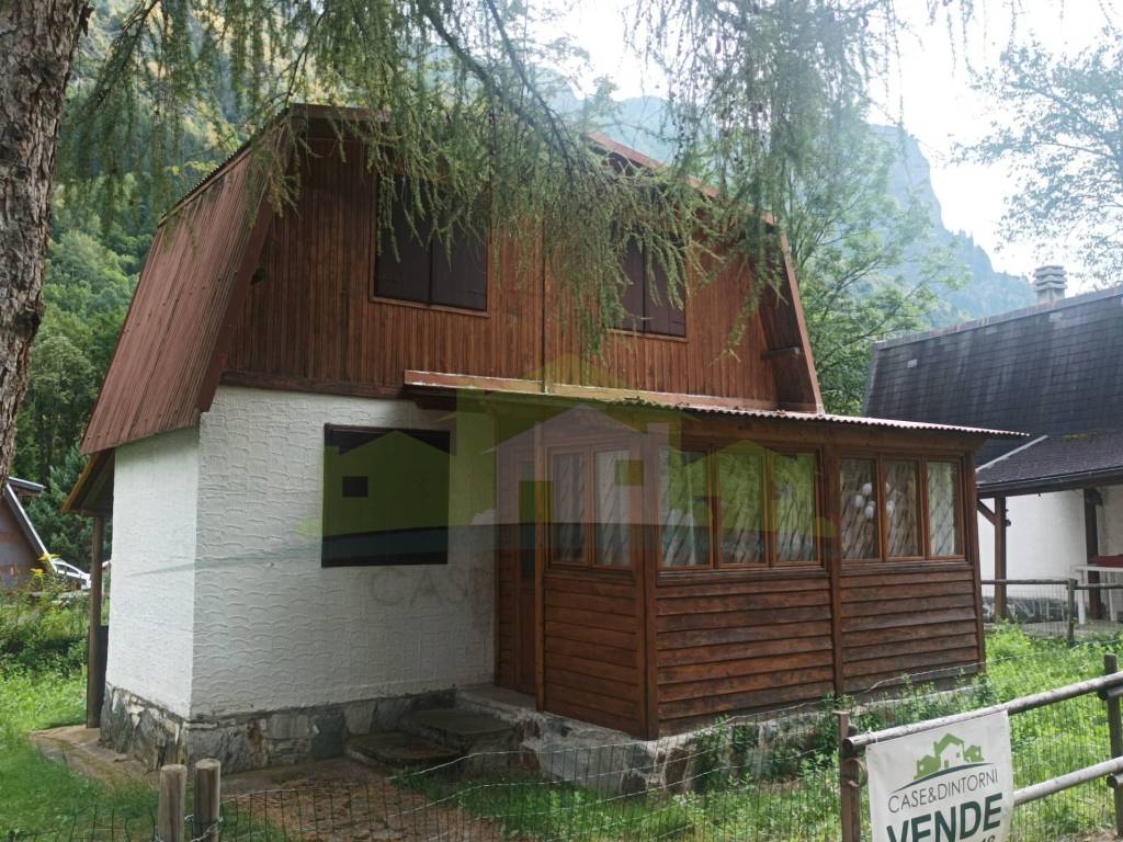 immagine annuncio 2 di 5