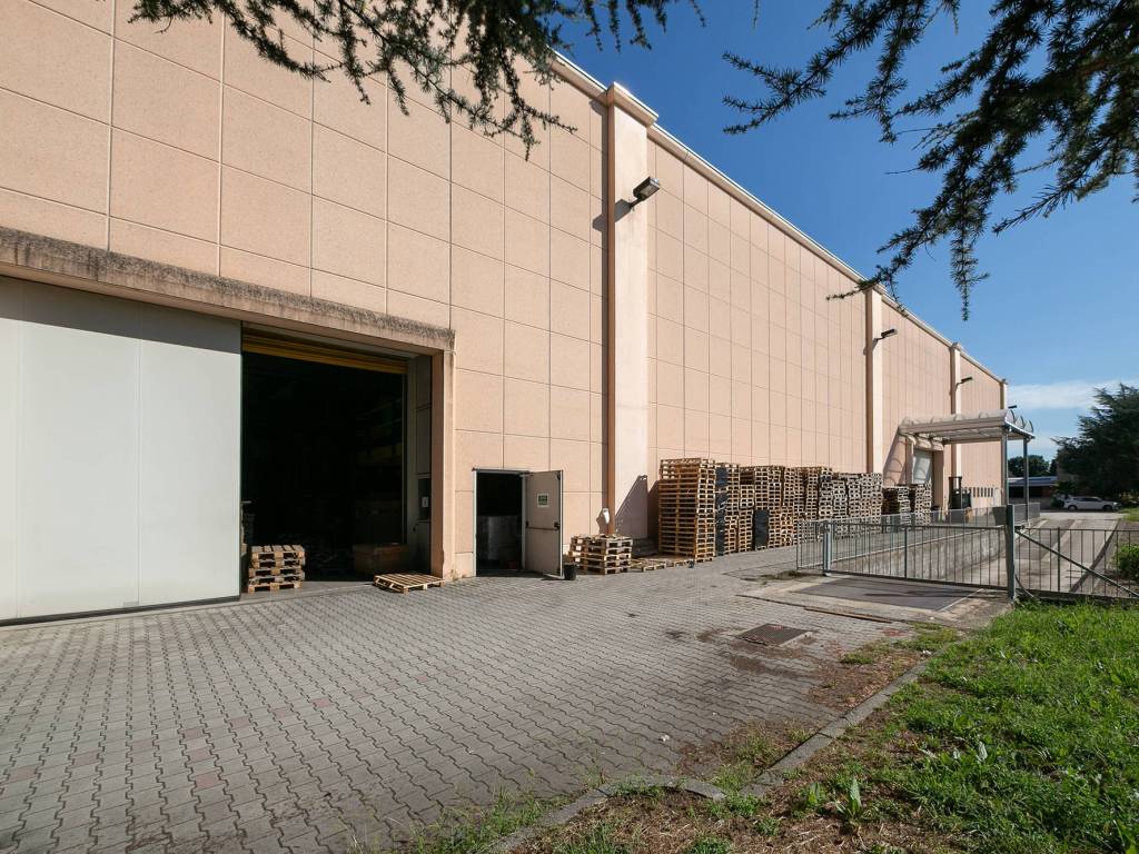 immagine annuncio 2 di 5