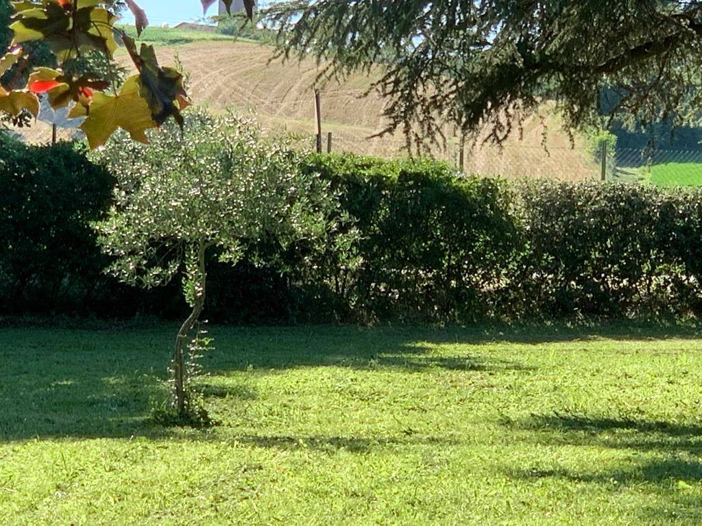 immagine annuncio 2 di 4