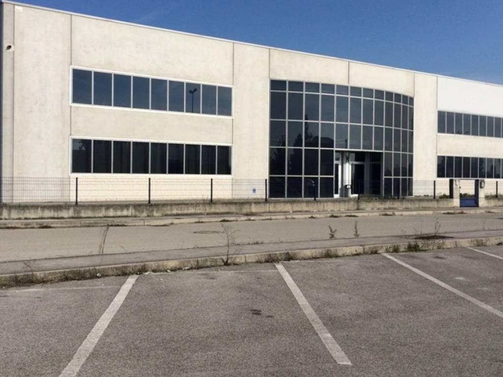 immagine annuncio 1 di 4