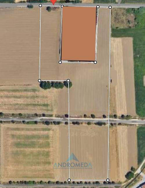 immagine annuncio 2 di 3