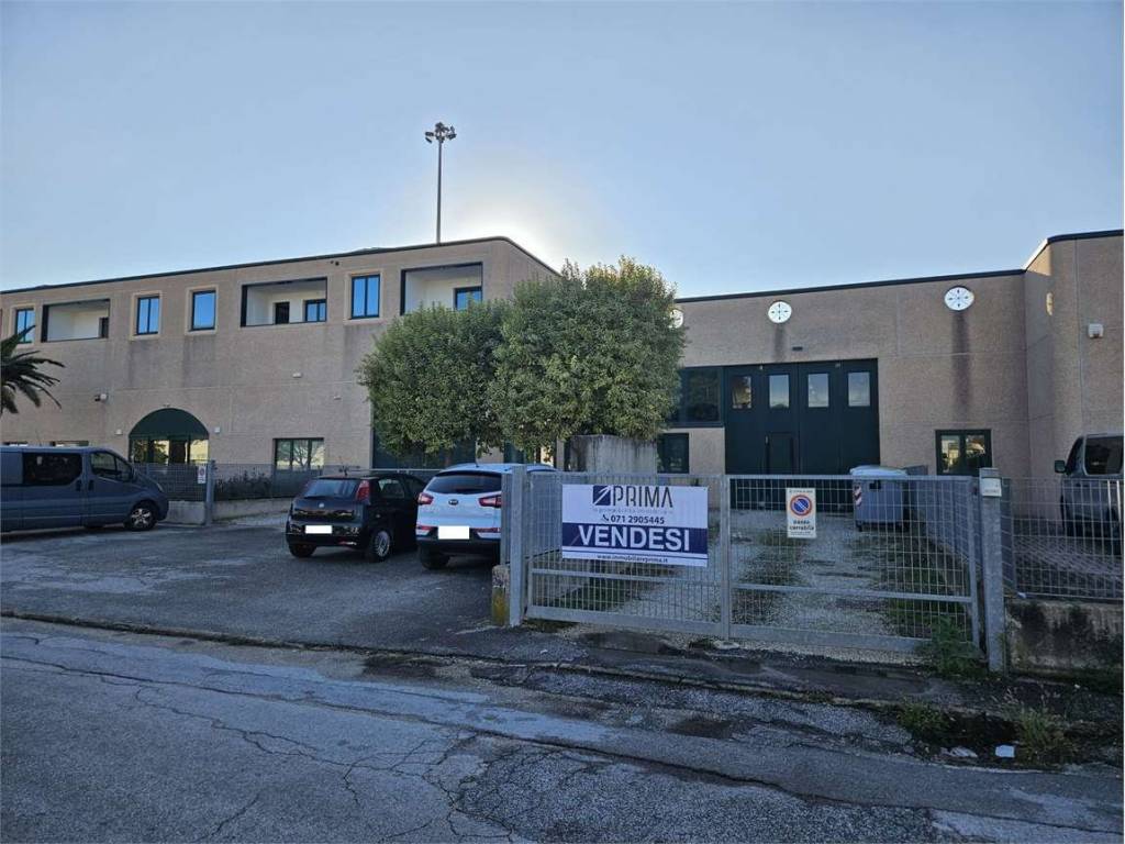 immagine annuncio 1 di 5