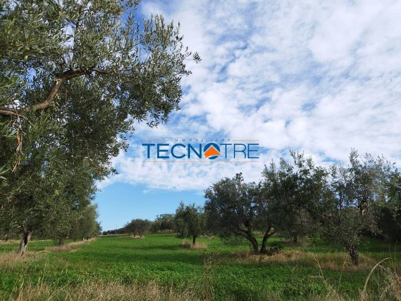 immagine annuncio 3 di 4