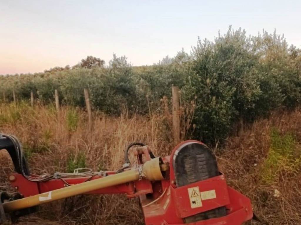 immagine annuncio 3 di 5