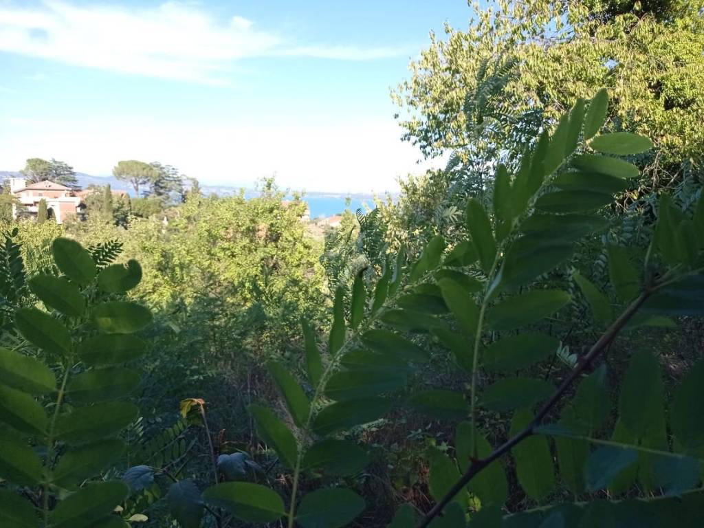 immagine annuncio 1 di 4