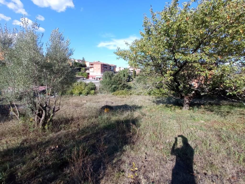 immagine annuncio 3 di 4