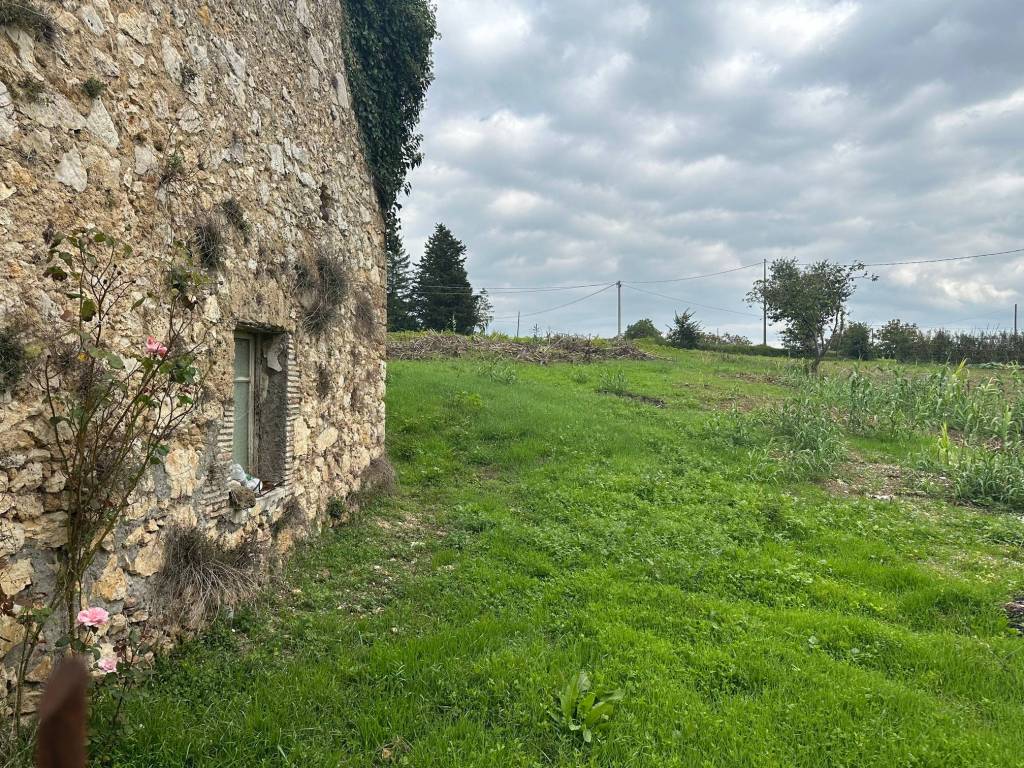immagine annuncio 2 di 3