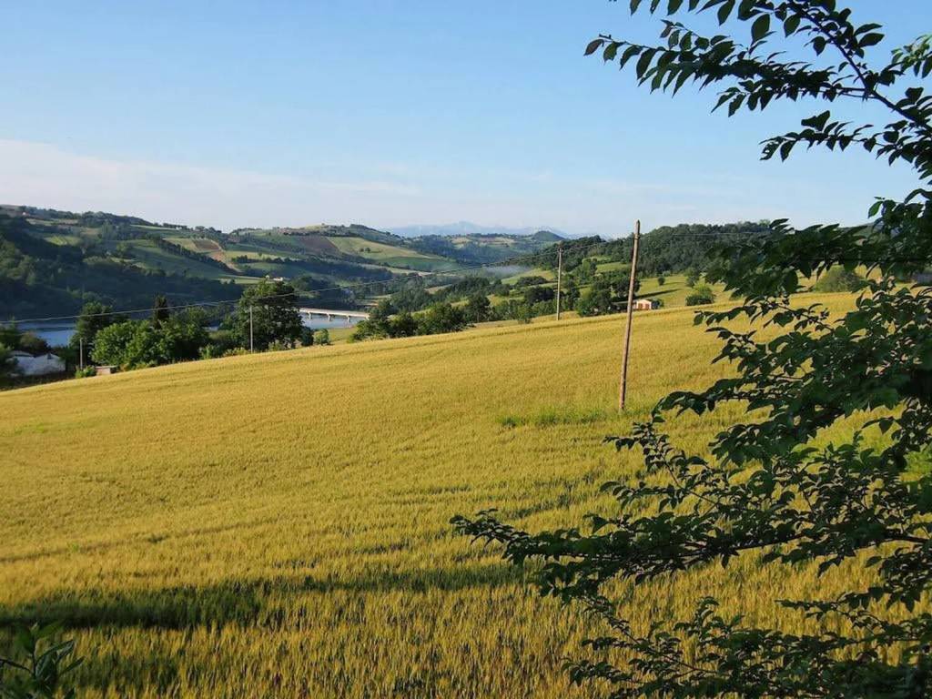 immagine annuncio 2 di 3