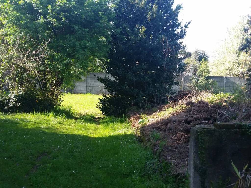 immagine annuncio 3 di 4