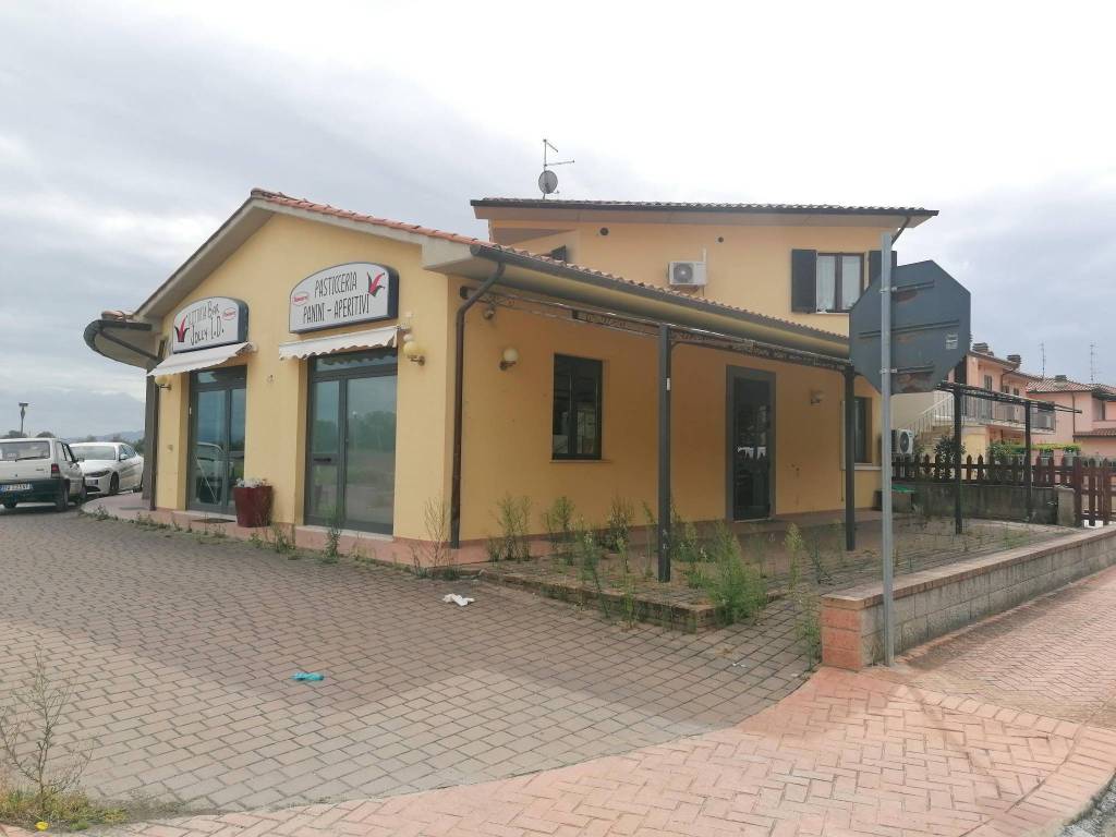 immagine annuncio 2 di 3
