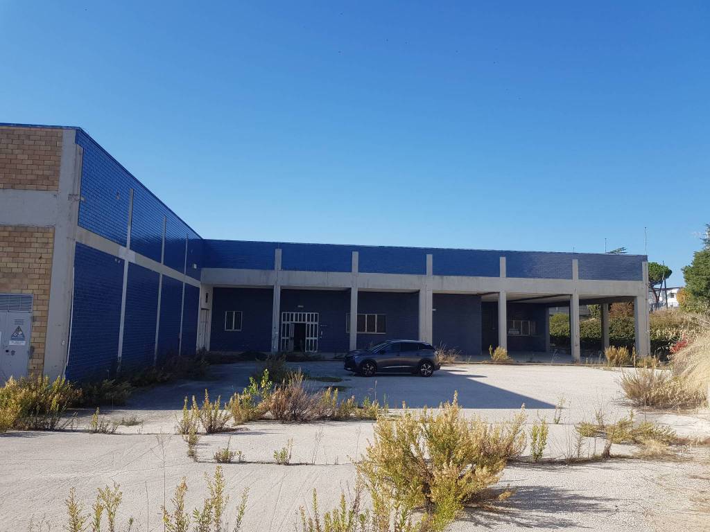 immagine annuncio 3 di 5