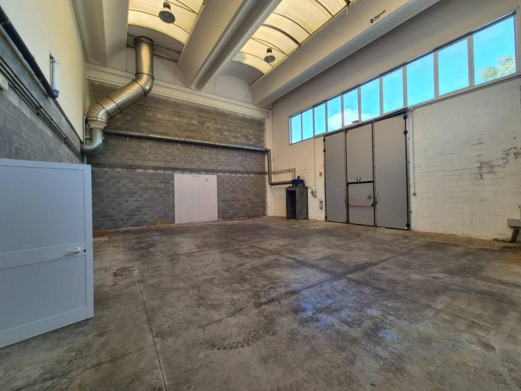 capannone in affitto a Santa Croce sull'Arno