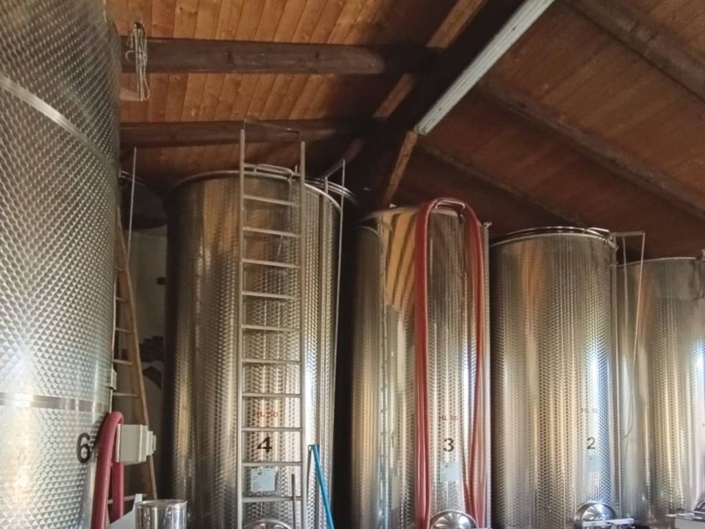 immagine annuncio 1 di 2