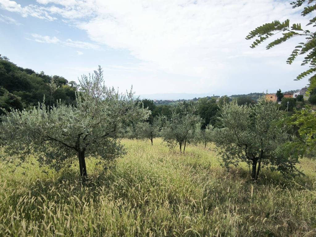 immagine annuncio 3 di 4