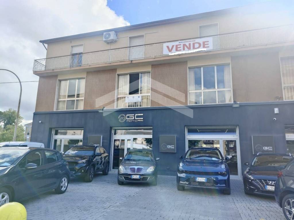 immagine annuncio 3 di 5