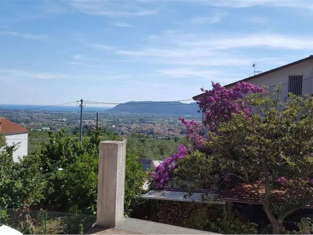 immagine annuncio 2 di 3