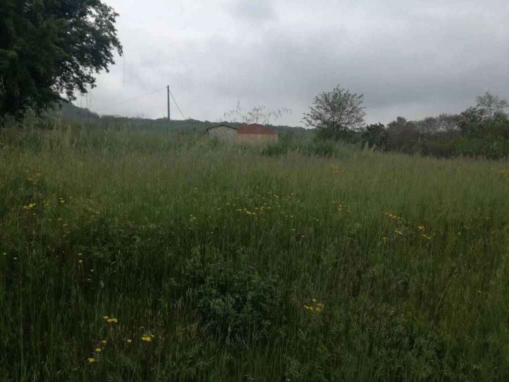 immagine annuncio 3 di 4