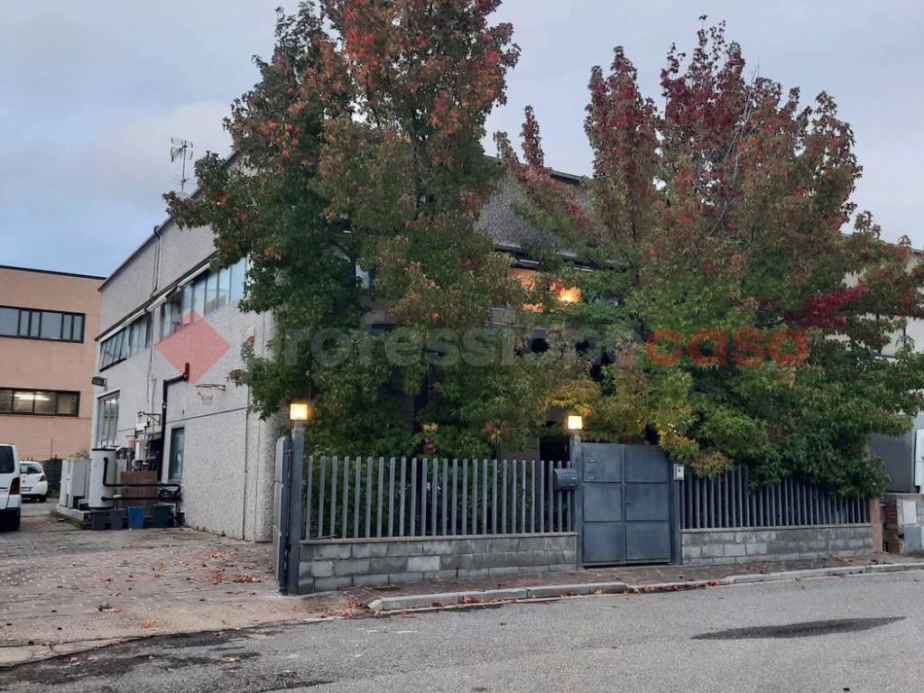 immagine annuncio 1 di 5