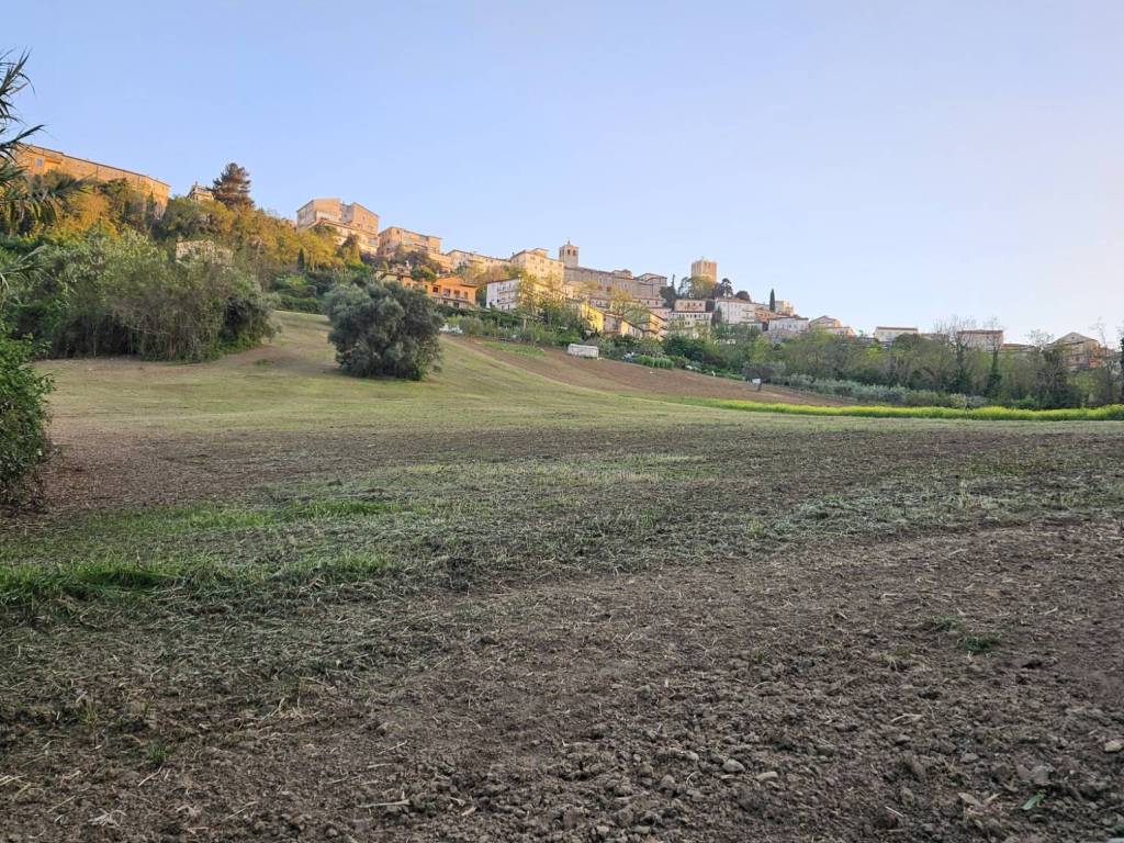 immagine annuncio 1 di 2