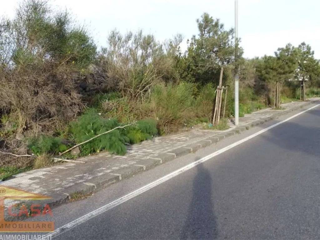 immagine annuncio 1 di 2