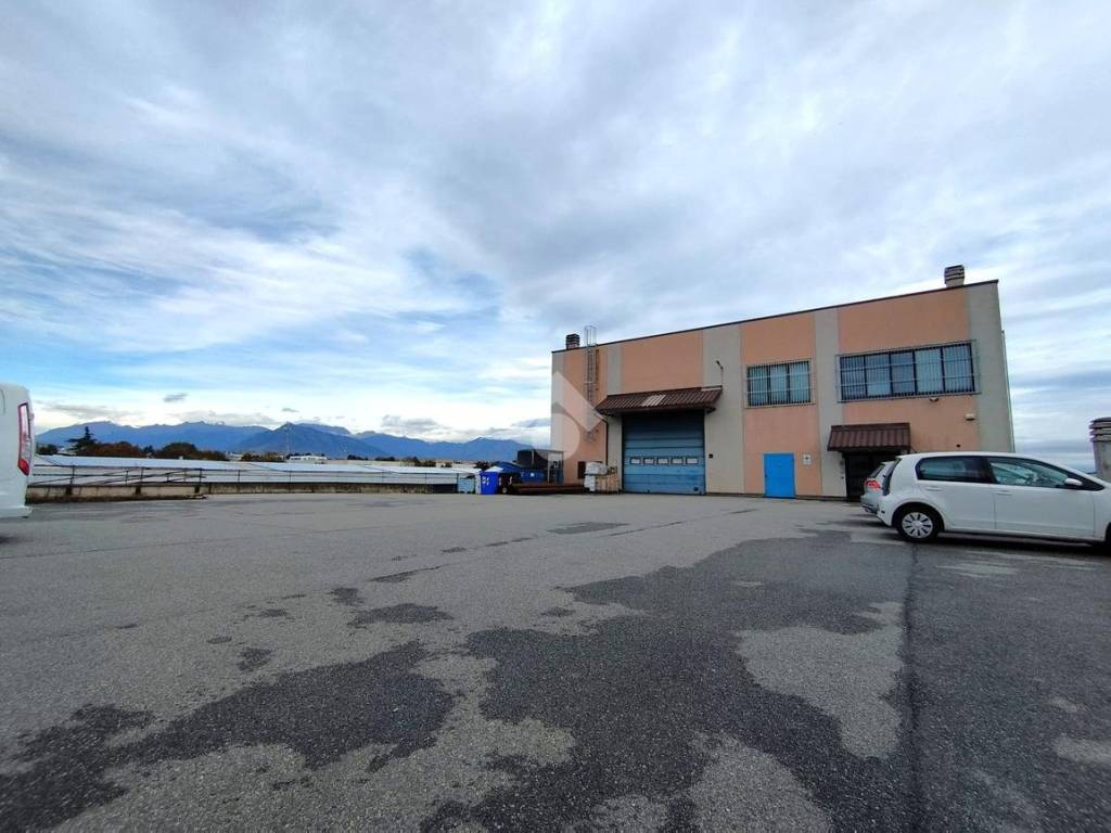 immagine annuncio 2 di 5