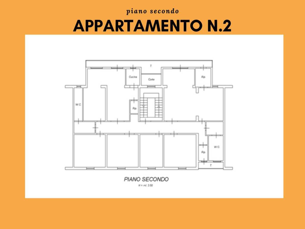immagine annuncio 2 di 5