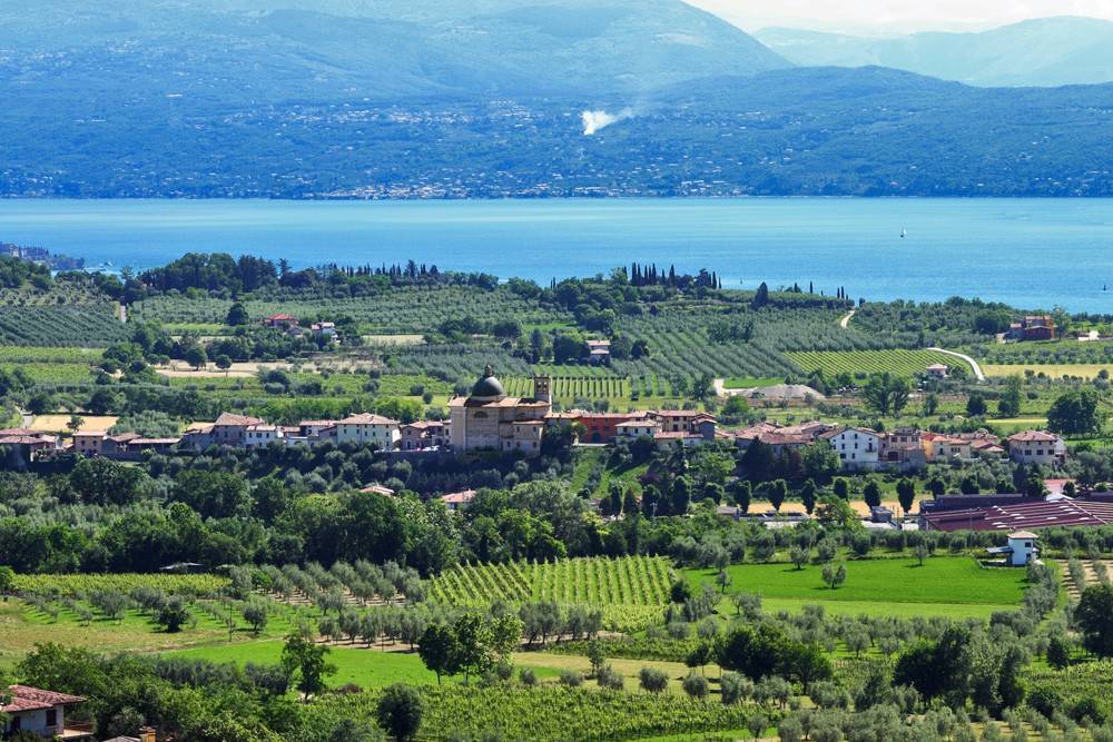 immagine annuncio 3 di 4