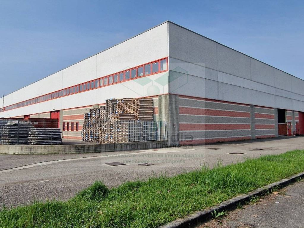 immagine annuncio 3 di 5