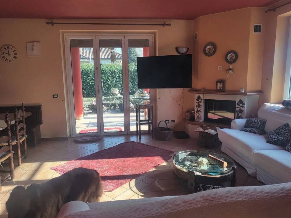 immagine annuncio 3 di 5