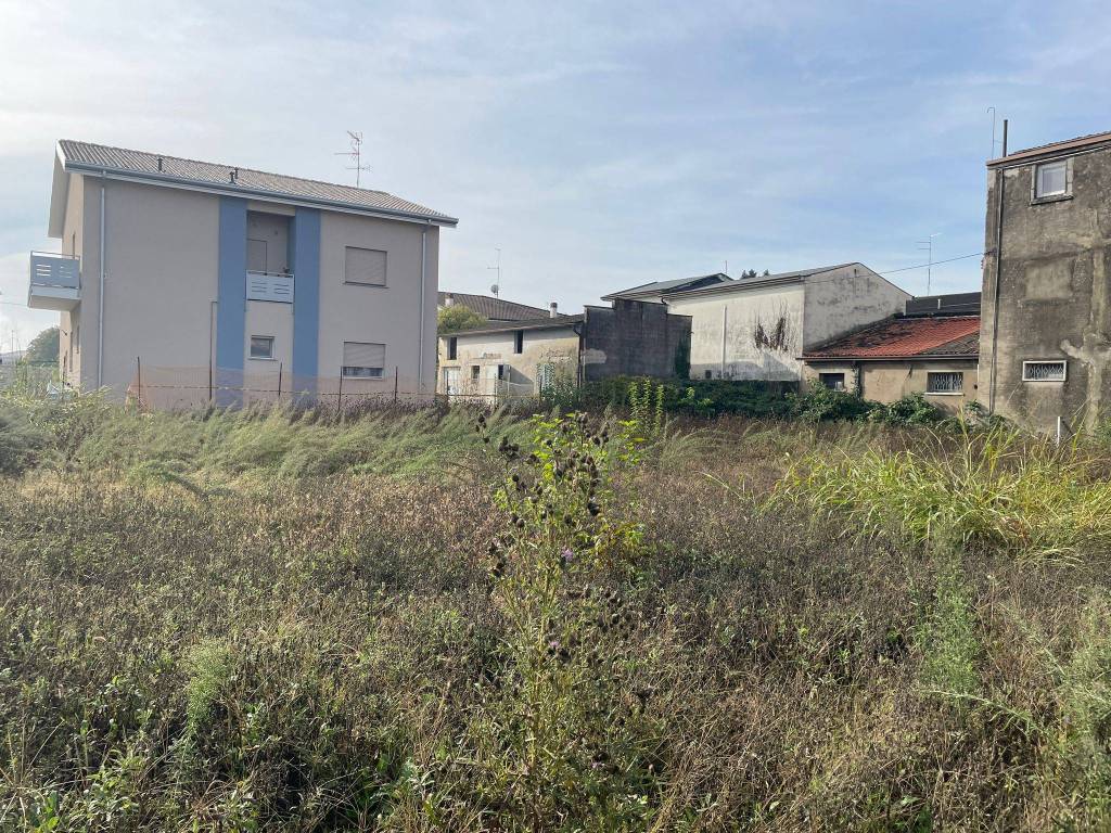 immagine annuncio 1 di 4