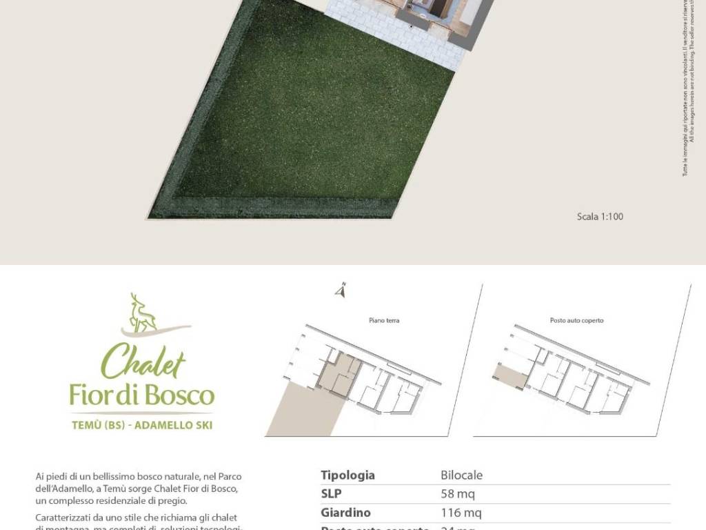 immagine annuncio 1 di 5