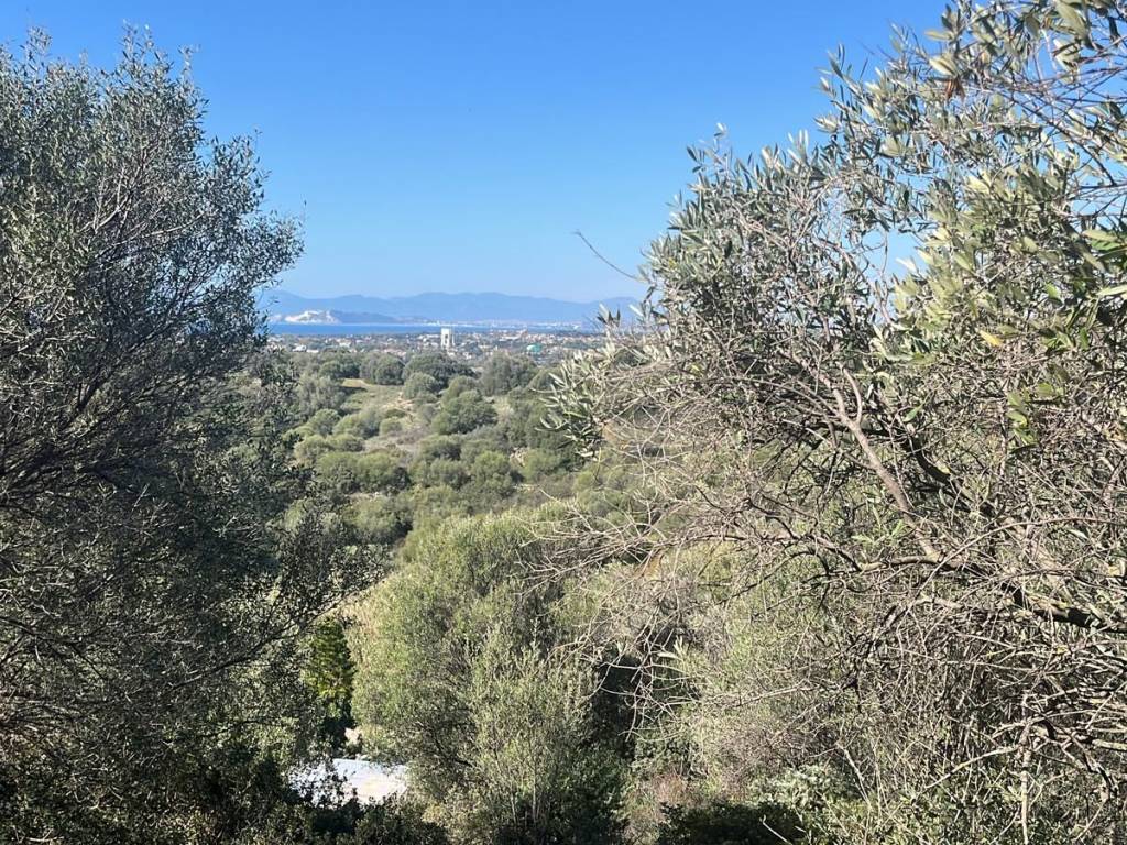immagine annuncio 1 di 3