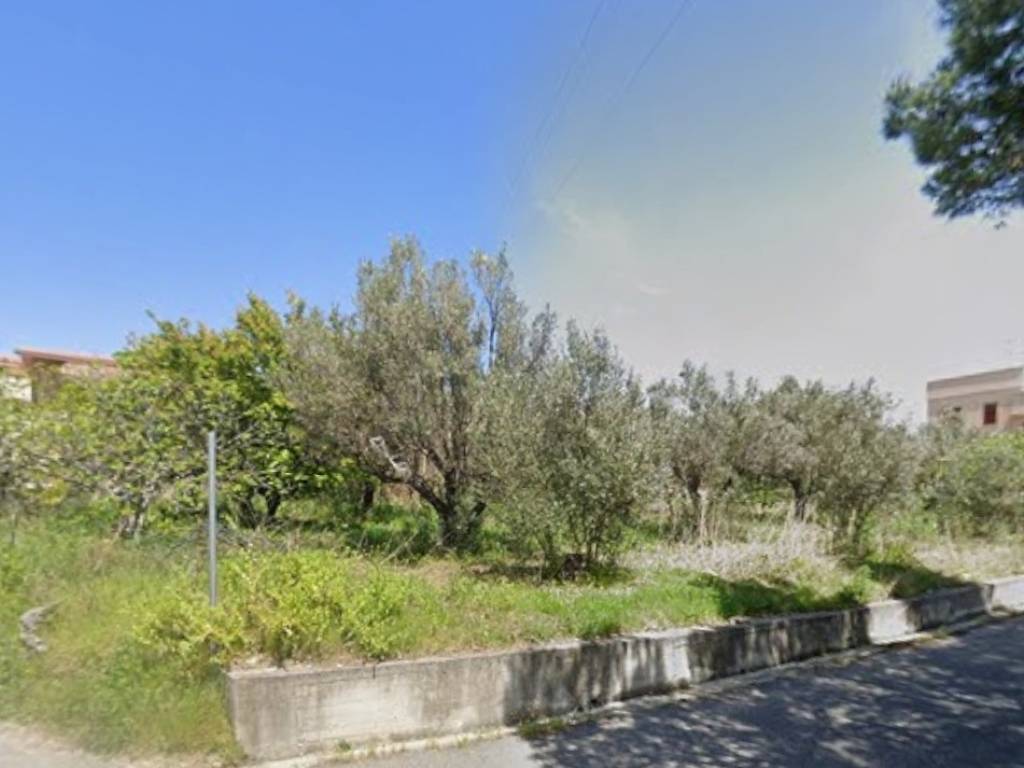 immagine annuncio 1 di 2