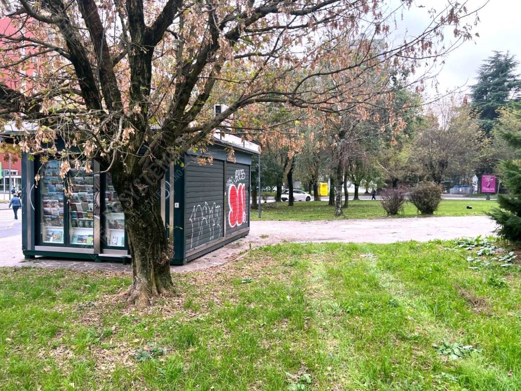 immagine annuncio 2 di 5