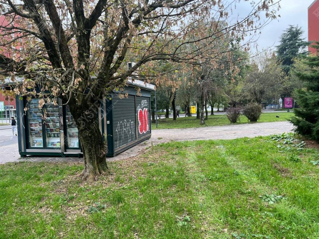 immagine annuncio 3 di 5