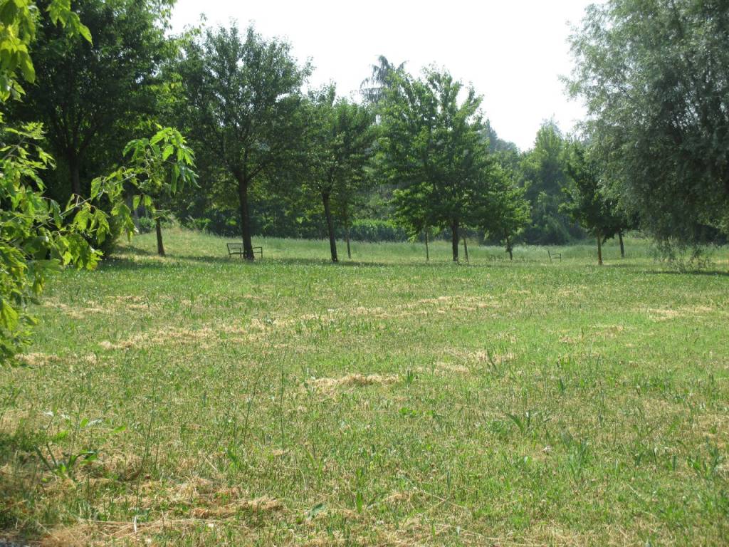 immagine annuncio 1 di 2