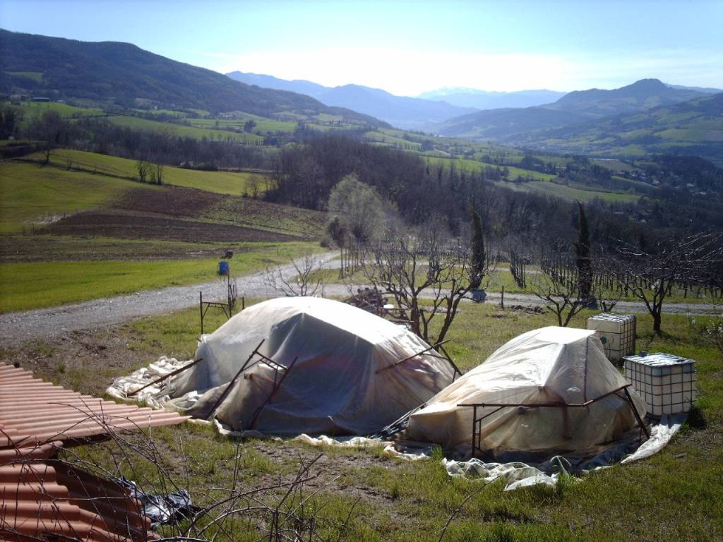 immagine annuncio 2 di 4