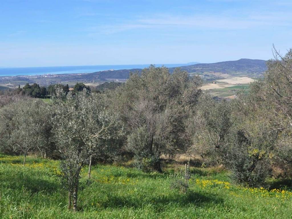 immagine annuncio 3 di 4