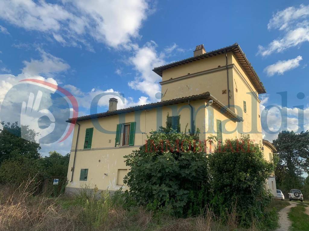 immagine annuncio 2 di 4