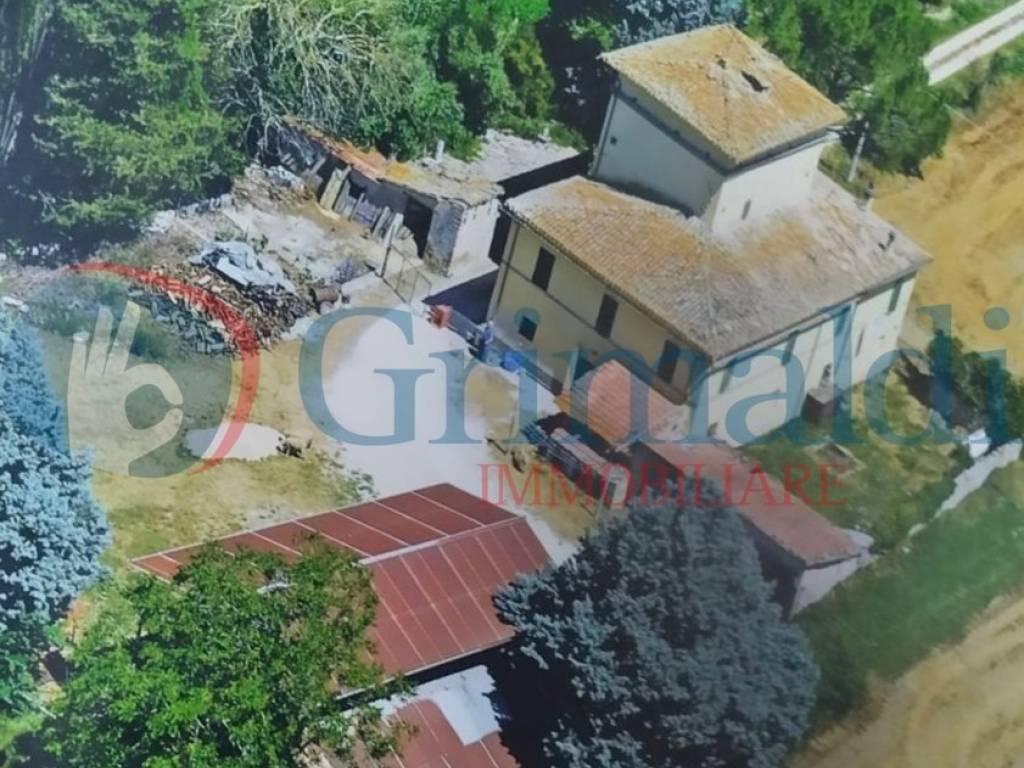 immagine annuncio 3 di 4