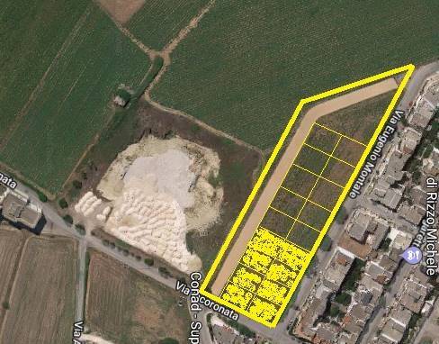 immagine annuncio 1 di 4