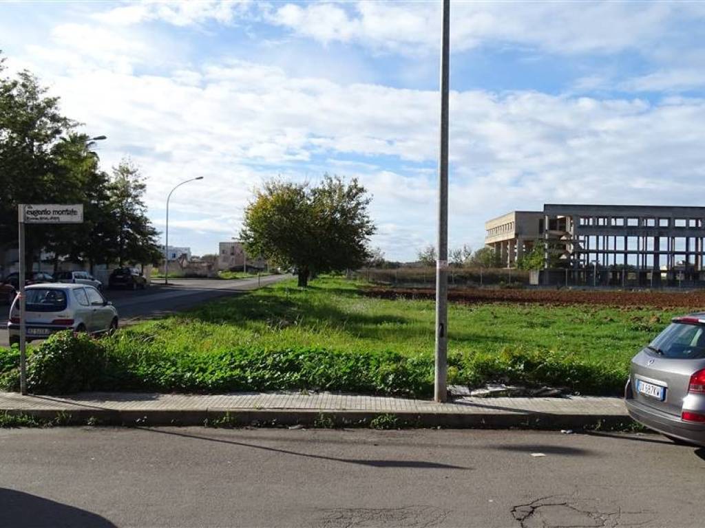 immagine annuncio 2 di 4