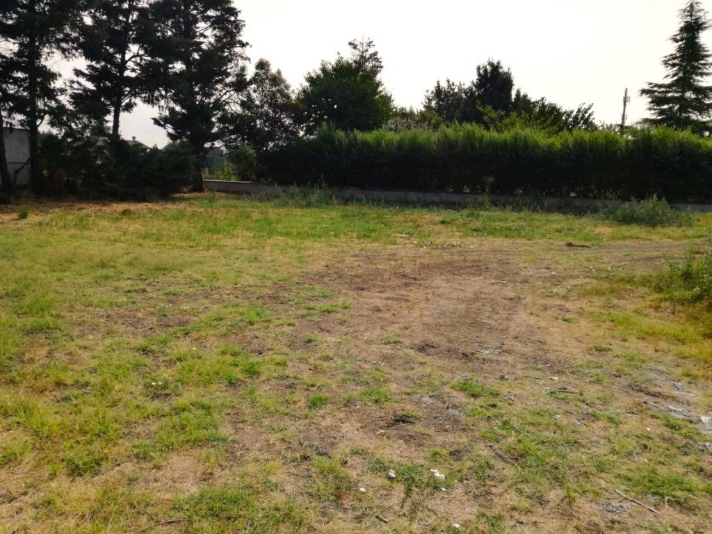 immagine annuncio 1 di 4