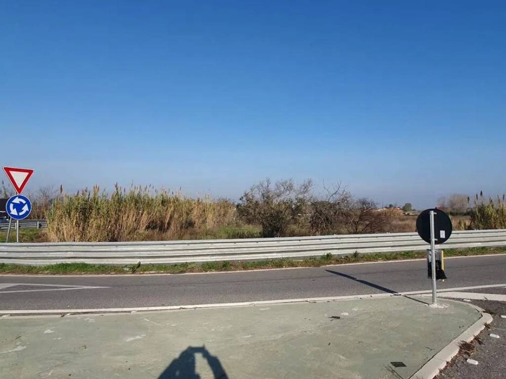 immagine annuncio 3 di 4