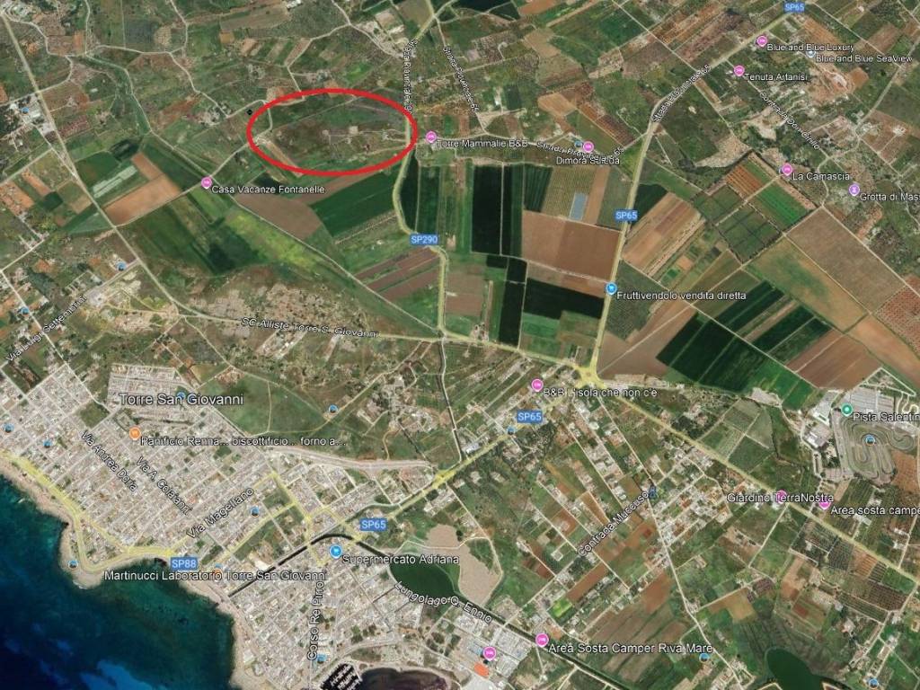 immagine annuncio 1 di 5