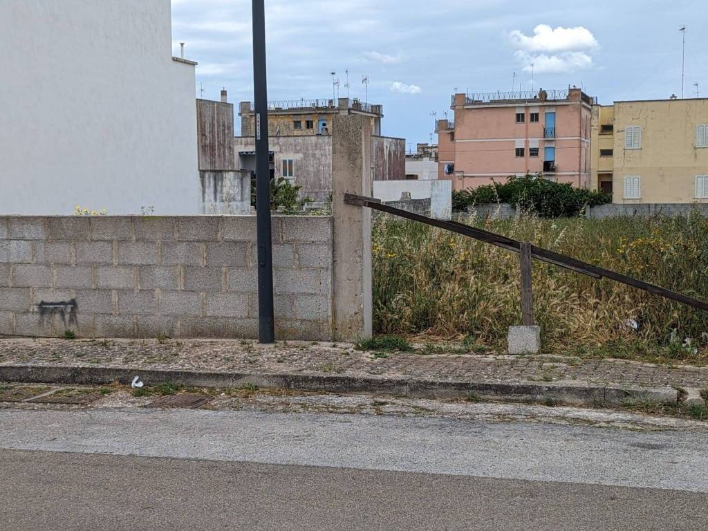 immagine annuncio 2 di 3