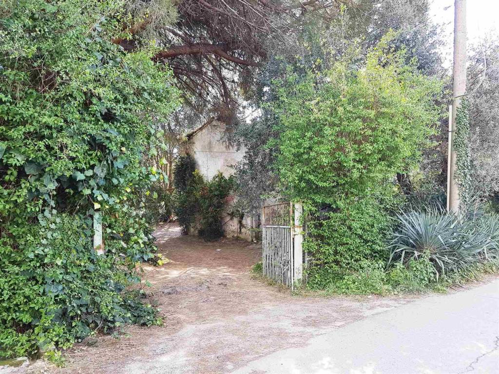 immagine annuncio 1 di 3