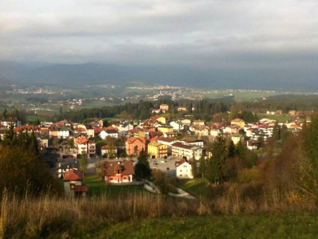 immagine annuncio 2 di 4
