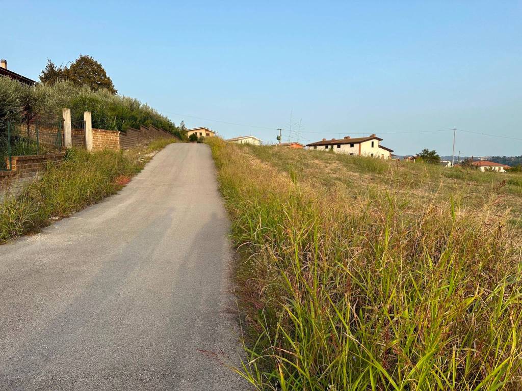immagine annuncio 2 di 4